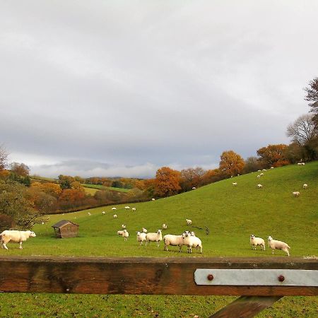 Gwilym'S Stable Apartamento Builth Wells Exterior foto