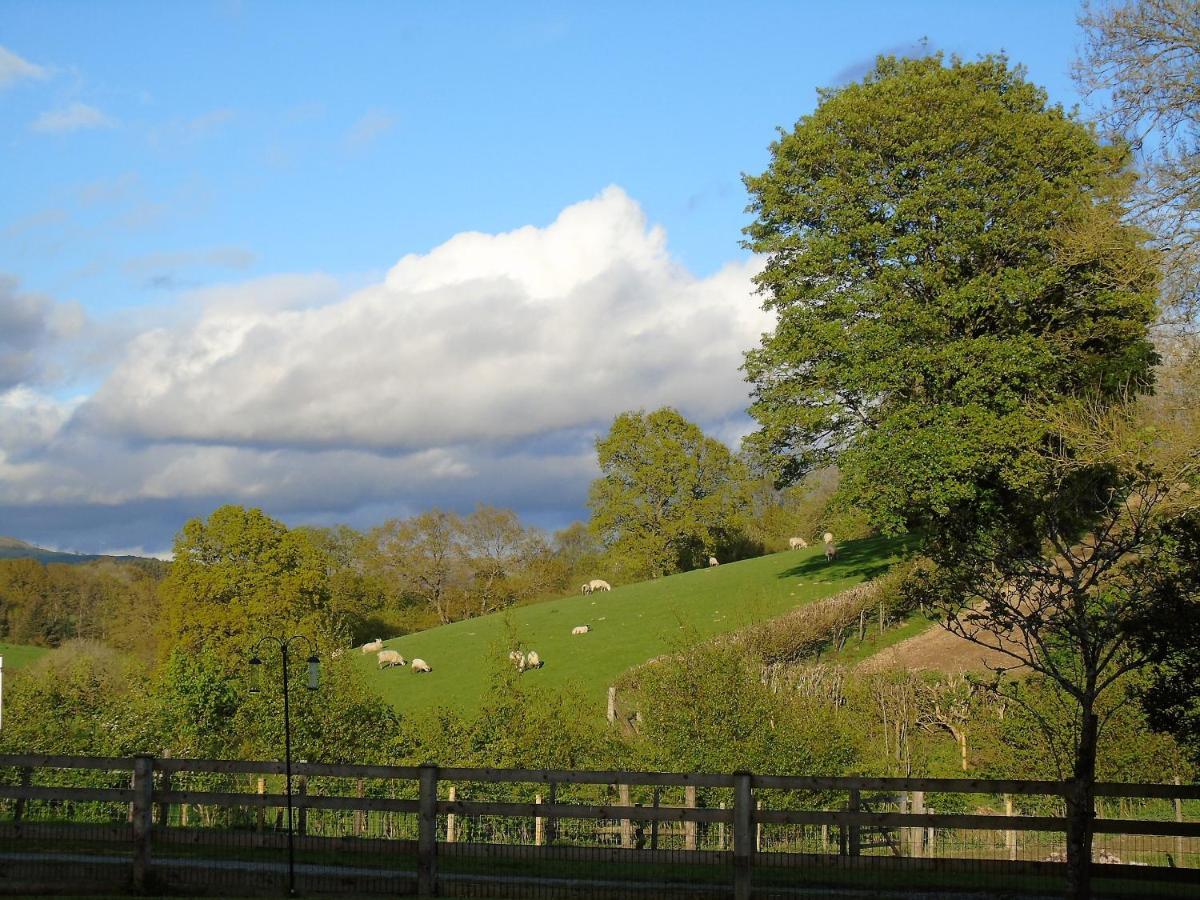 Gwilym'S Stable Apartamento Builth Wells Exterior foto